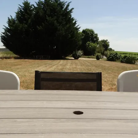 La Galerie Climatise 4 8 Personnes 2 Salles D'eau Wifi Parking Piscine Chauffee Animaux Acceptes En Pleine Nature Lorignac