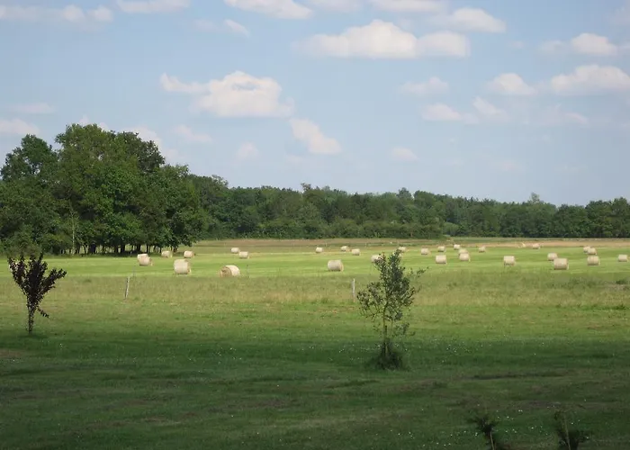 Сasa de vacaciones La Galerie gîte climatisé 4 chambres 8 personnes, 2 salles d'eau, 2 WC, WIFI, parking, piscine chauffée à partager, animaux acceptés, Gîte en pleine nature *